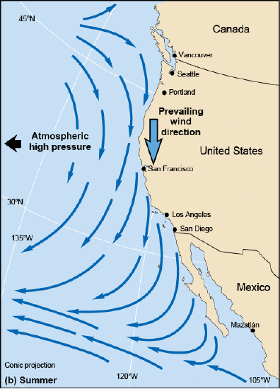 North Pacific coast along North America, with summer winds from the north so currents are all to the south
