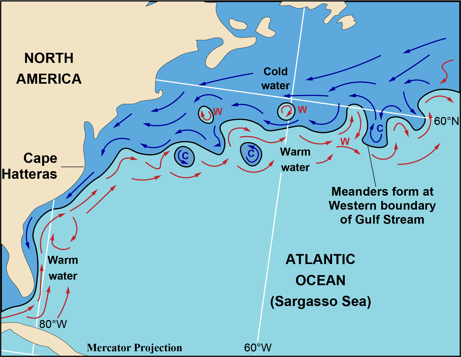 Cold gyres in the warmer ocean waters and warm gyres in the cold ocean waters