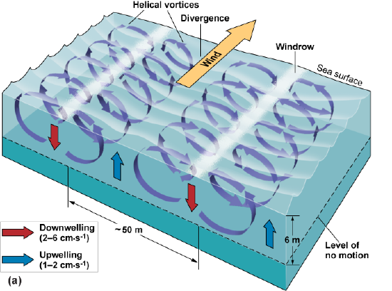 Wind causing divergence and upwelling