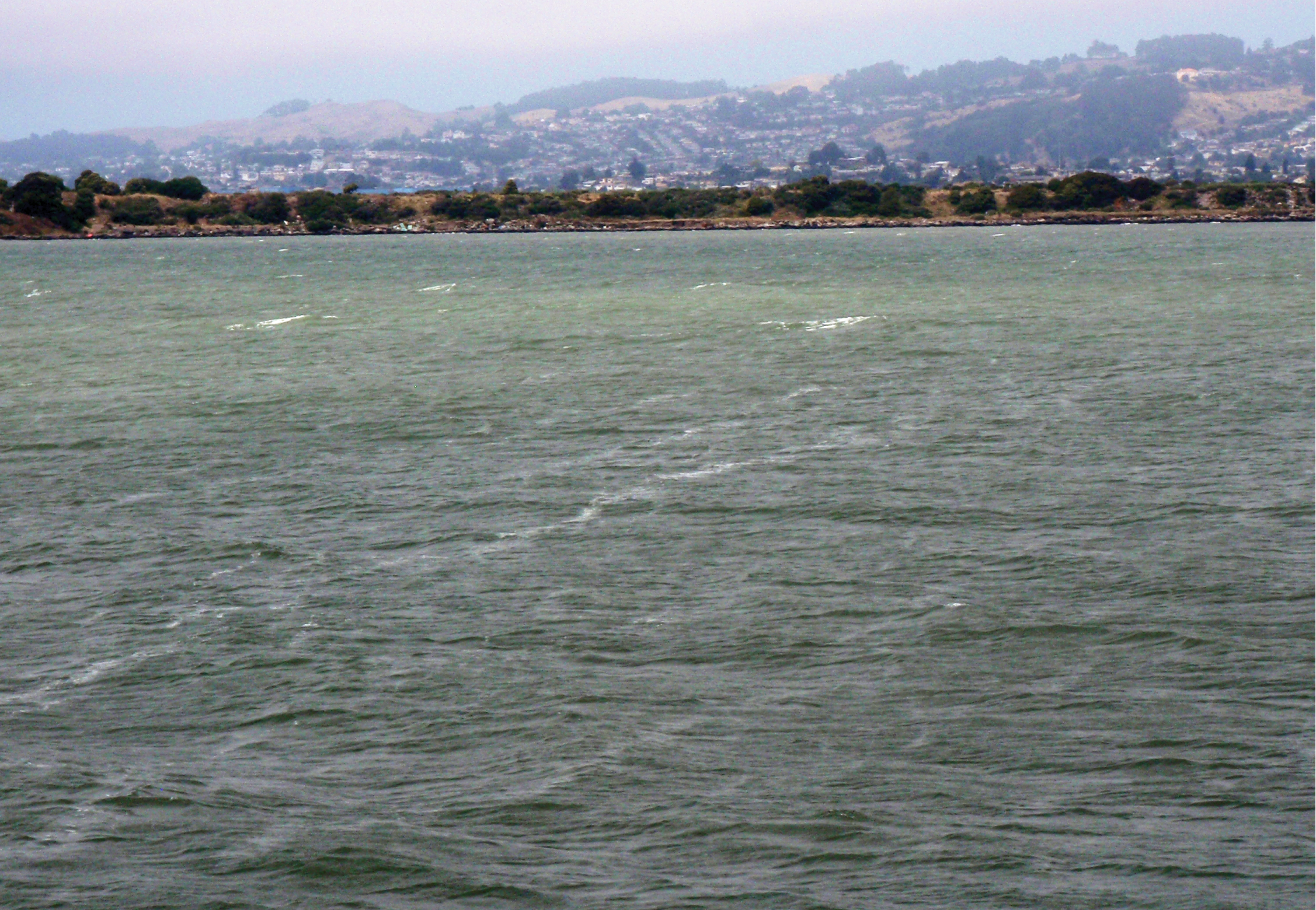 Ocean water with lines of foam in generally flat waves