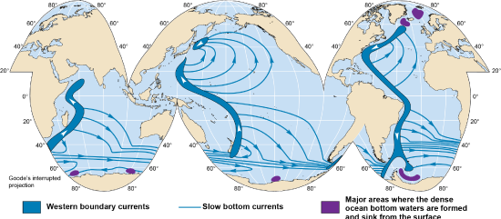 Western boundary current, slow bottom currents and bottom water formation across the world oceans