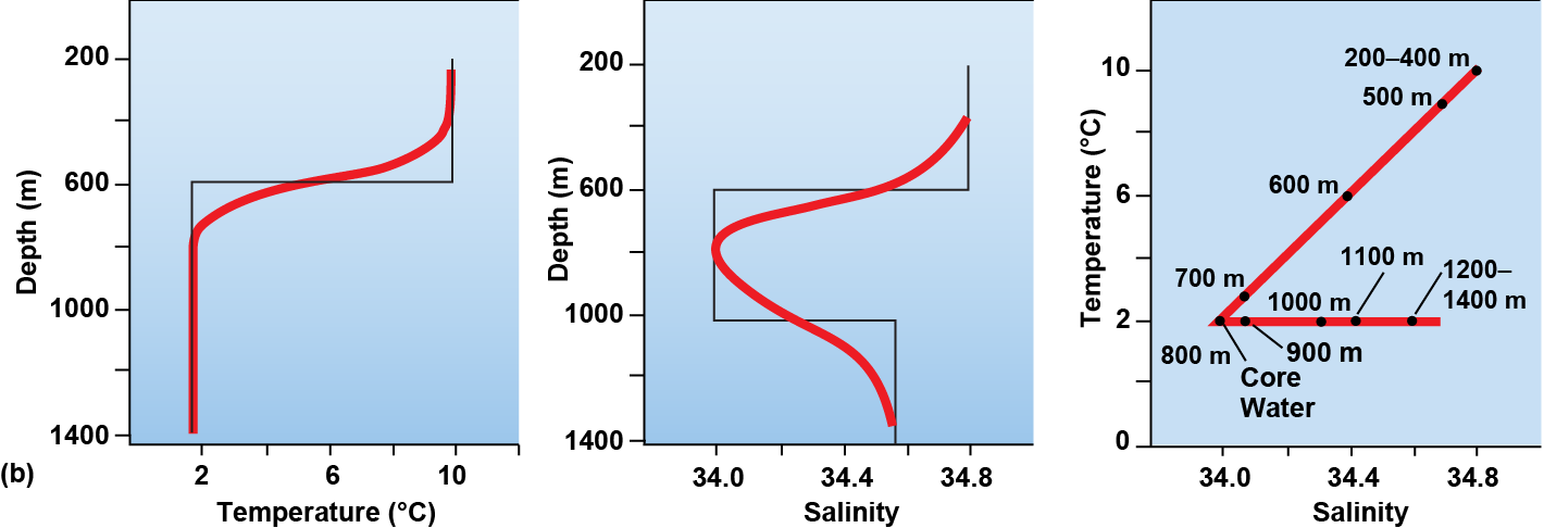 Curves over the stepwise temperature and salinity profiles