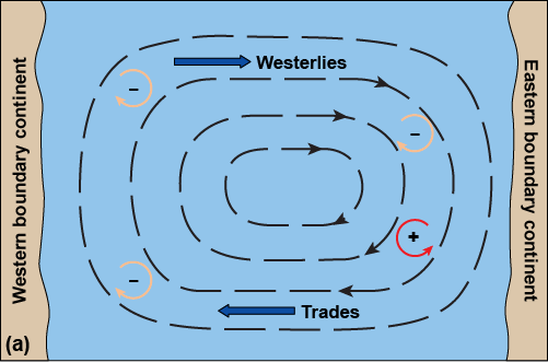 Circulation due to trades and westerlies