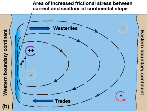 Westerlies and trade winds impacting gyre currents so they&rsquo;re narrower and faster in the west for the Northern Hemisphere