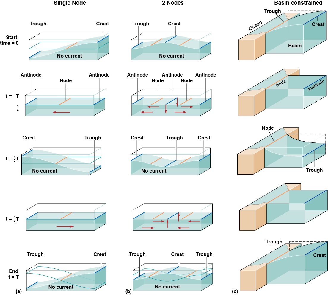 Diagrams of how waves move around single, two nodes or when constrained by a basin