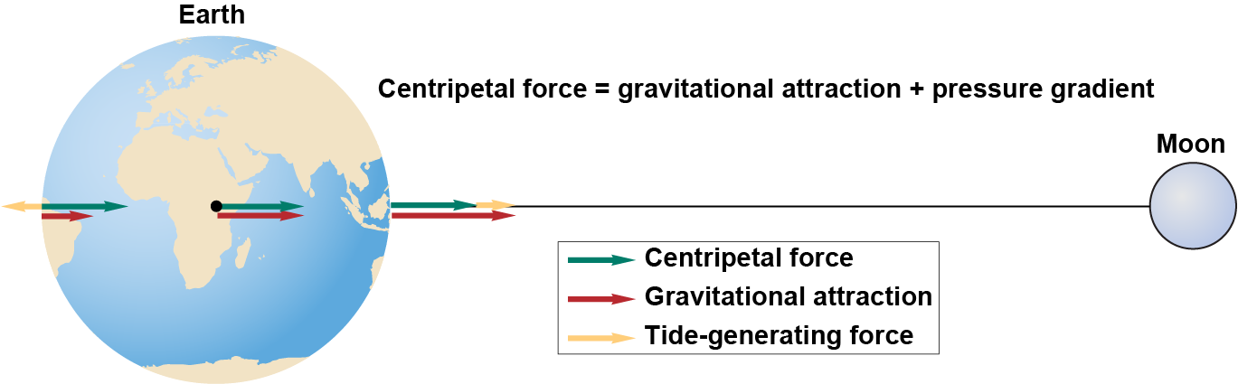The gravitational attraction and pressure gradient between Earth&rsquo;s center and surface and the moon