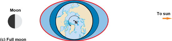 Diagram of the moon and moving around the Earth and affecting the lunar tidal bulge for the full moon