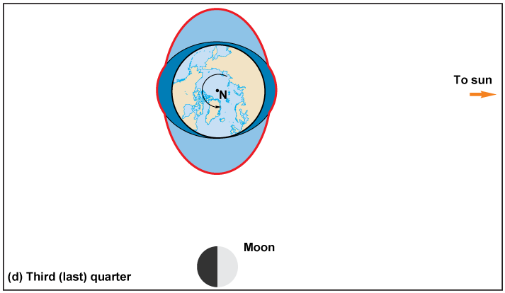 Diagram of the moon circling the Earth and affecting the lunar tidal bulge for 3rd quarter