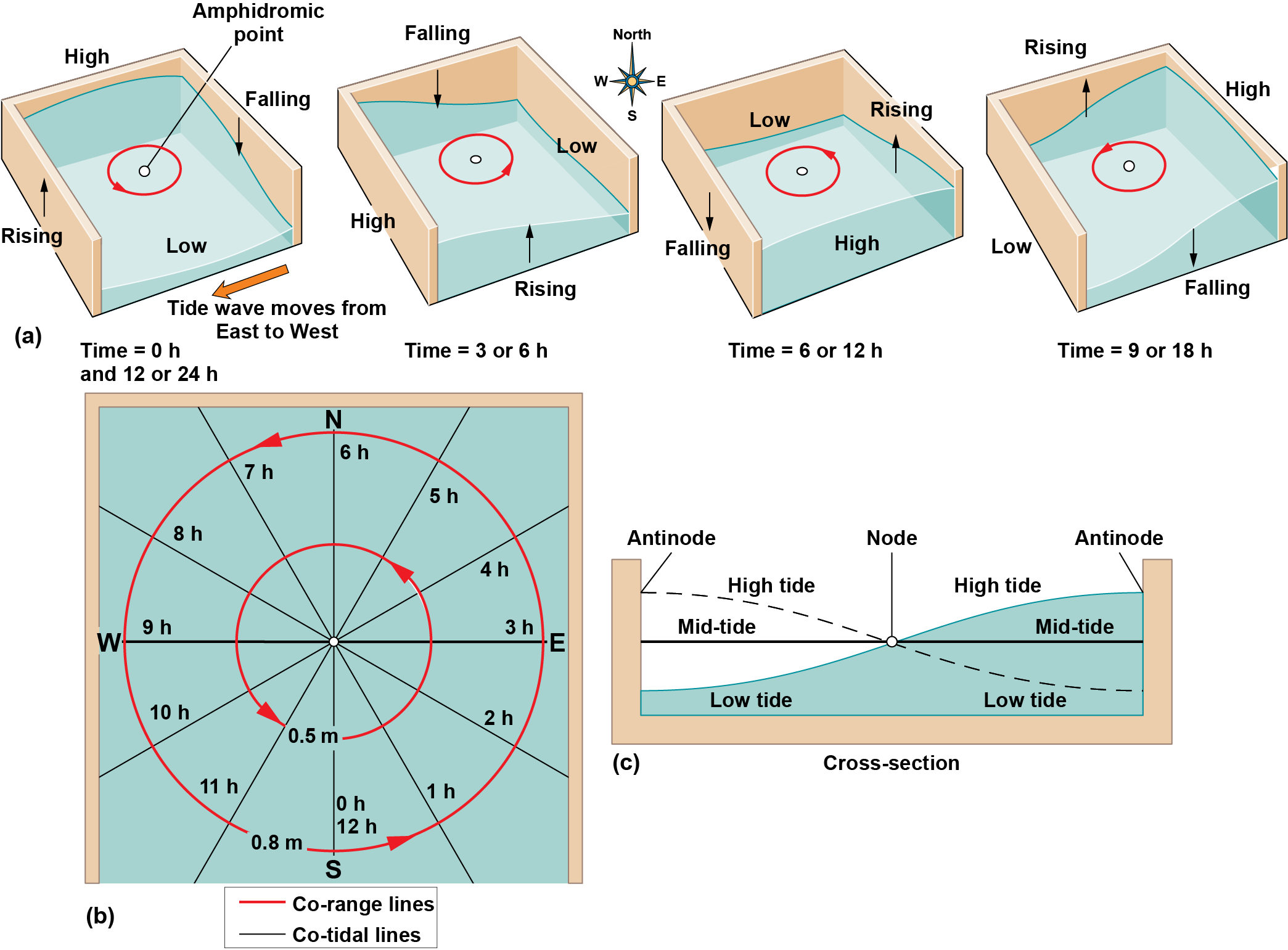 Water&rsquo;s sloshing movement as it moves in a confined space across 12 hours