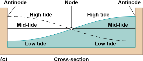 Cross section of high and low tide with the node in the center and antinodes at either side