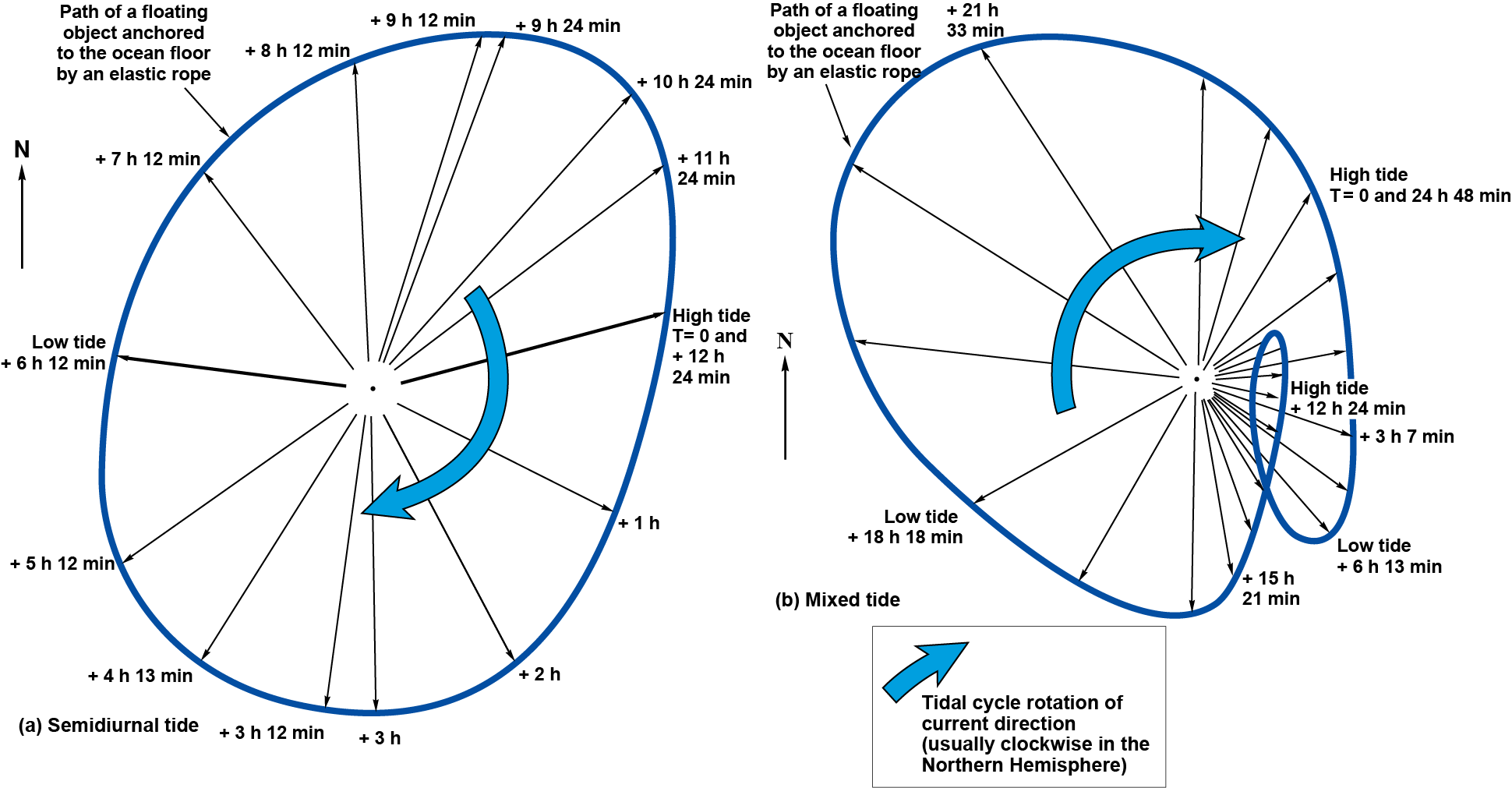 Circular path of an object anchored to the ocean floor in a semidiurnal tide