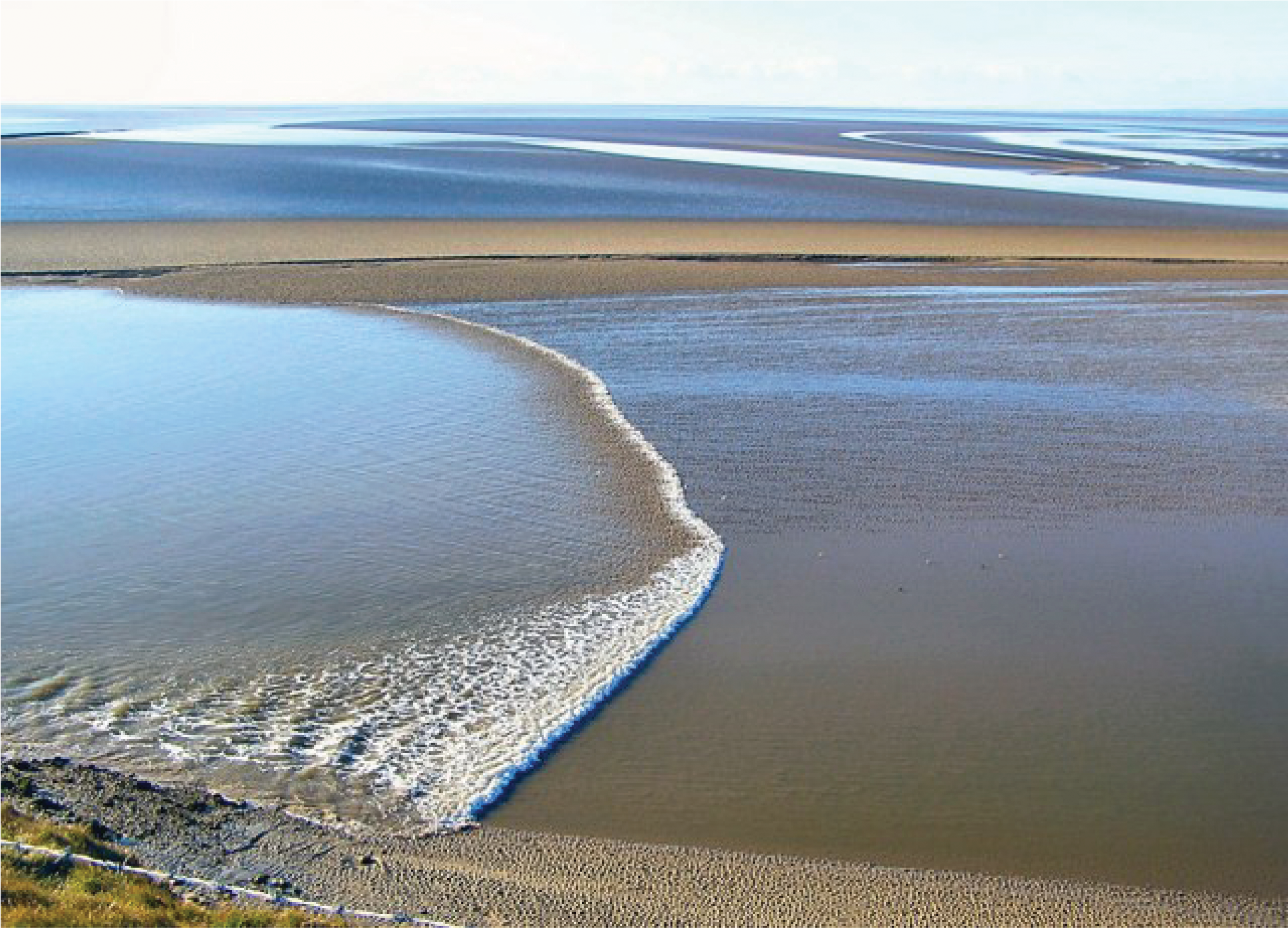 Wave on the shore