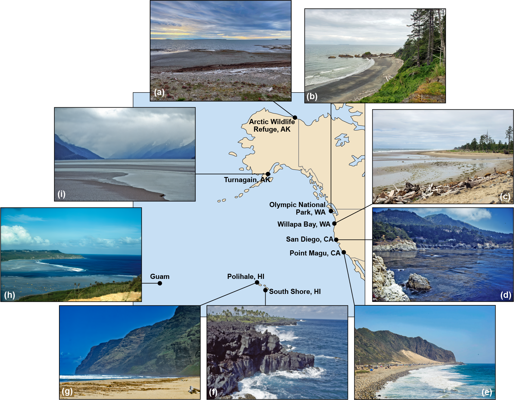College of U.S. Pacific coasts