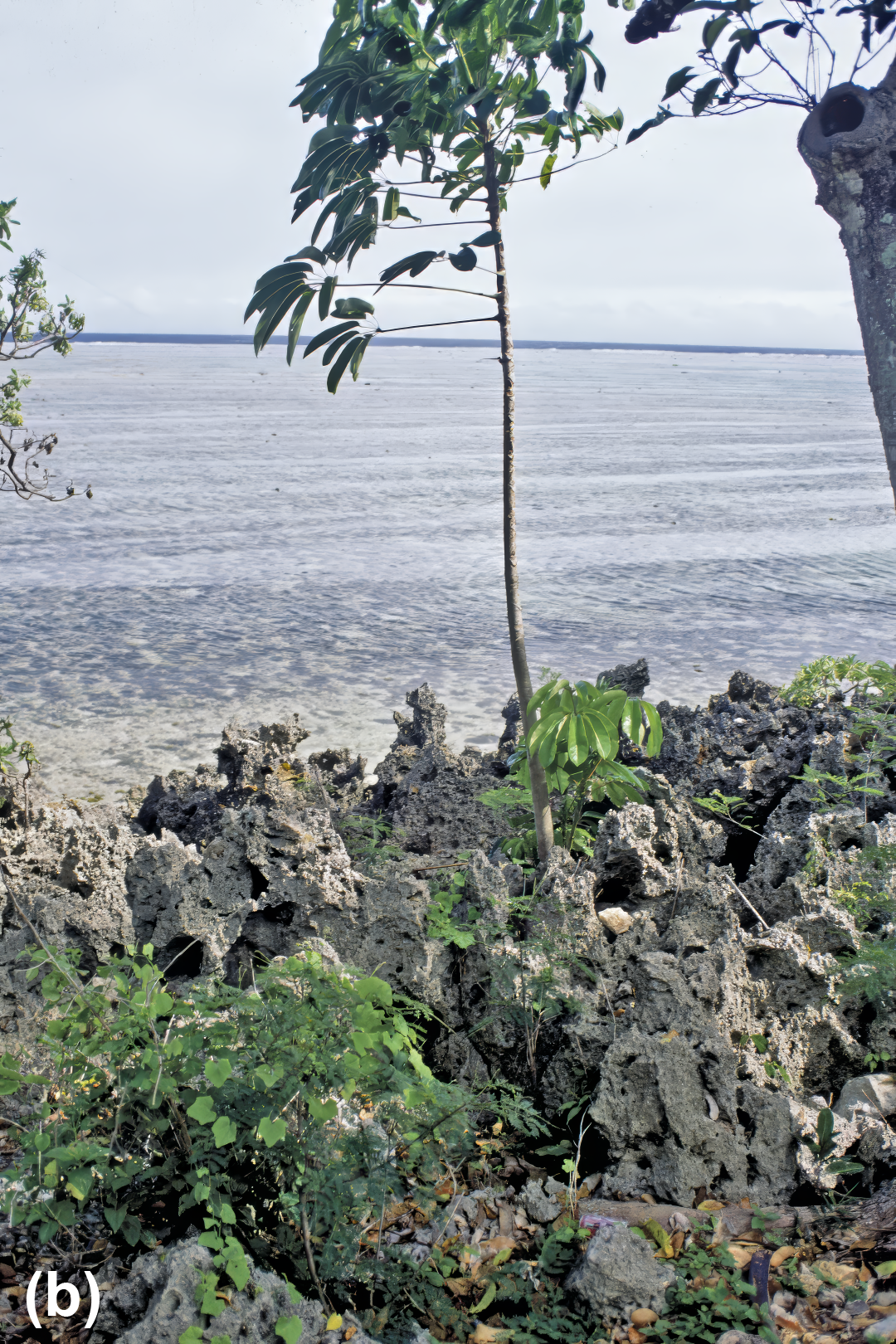 Rocky formations seen from the beach looking at the water
