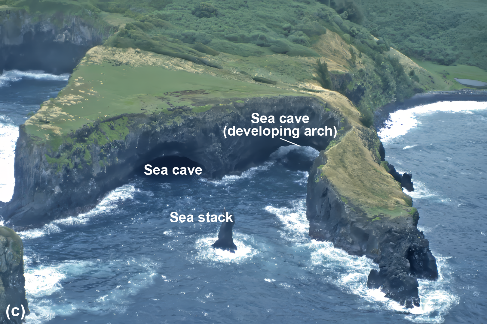 Cliff side with sea cave, developing arch and sea stack