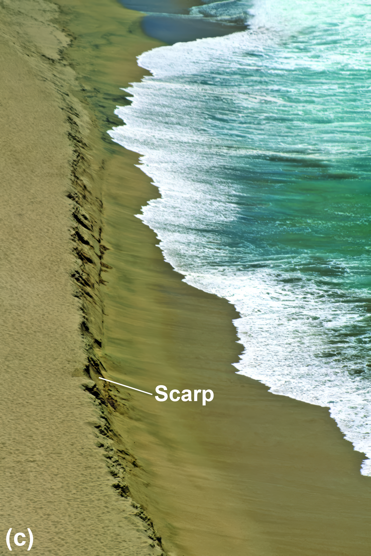 Beach with a scarp