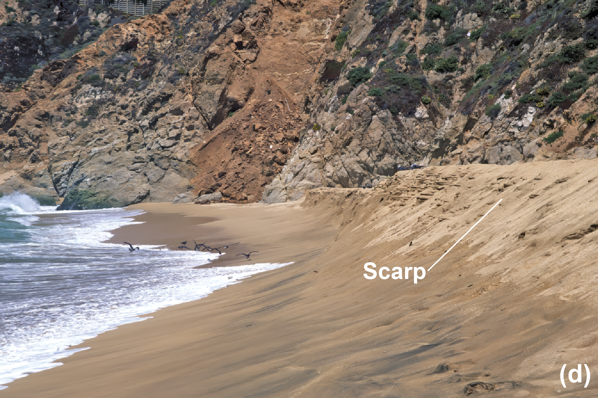 Beach with a scarp