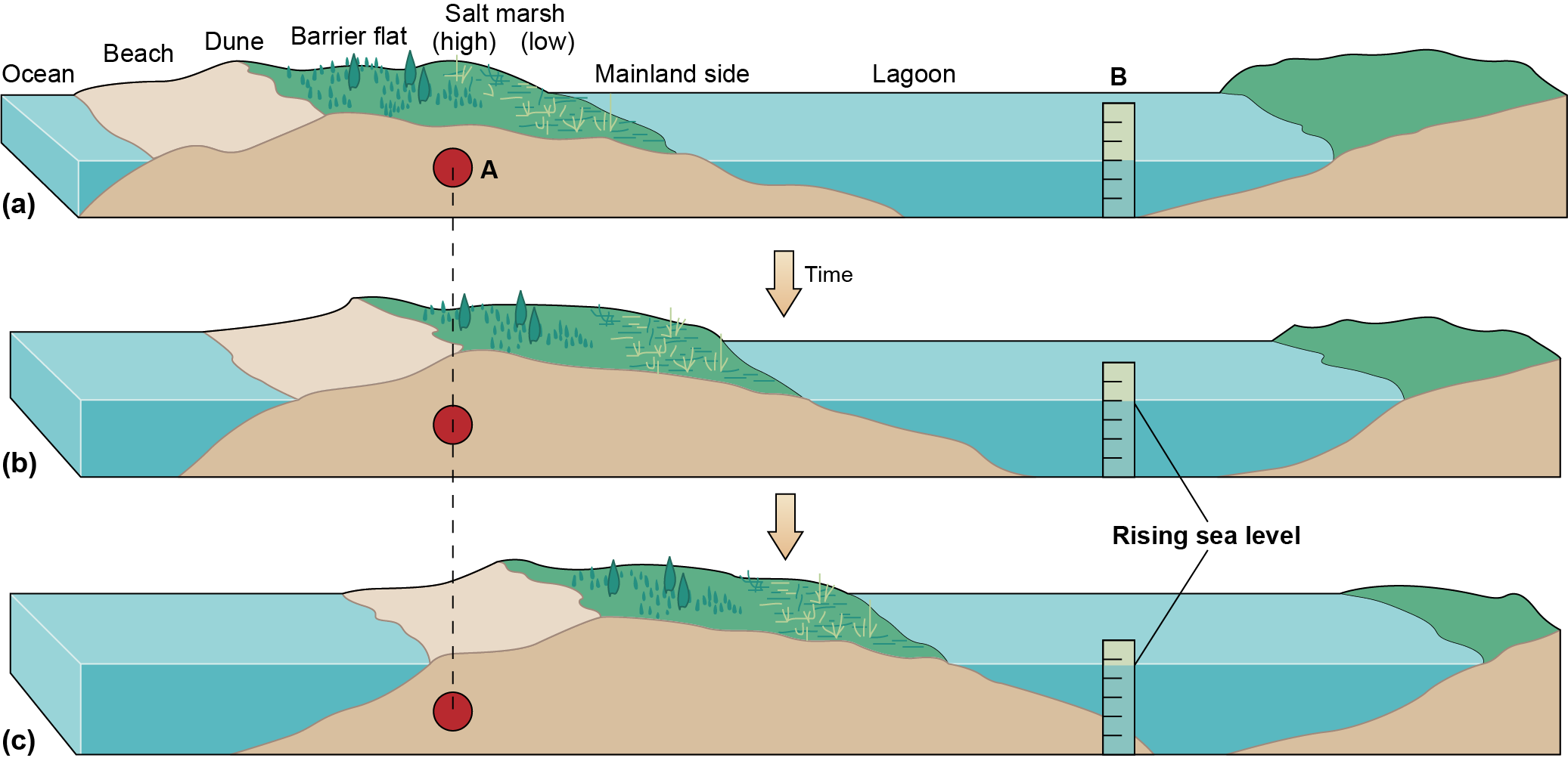 Movement of sand inward to a lagoon which has a rising sea level