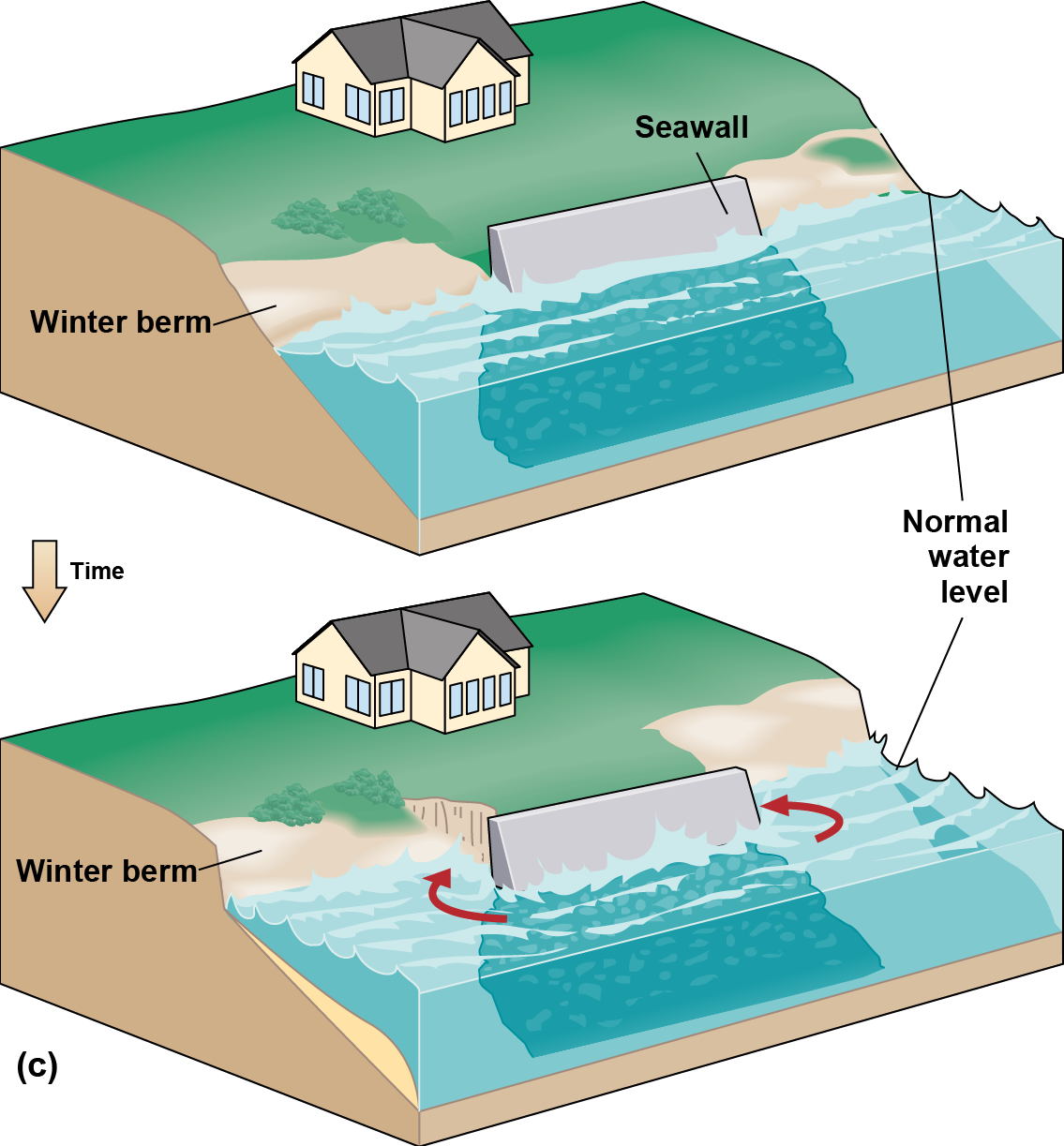 Diagram of erosion on either side of a seawall