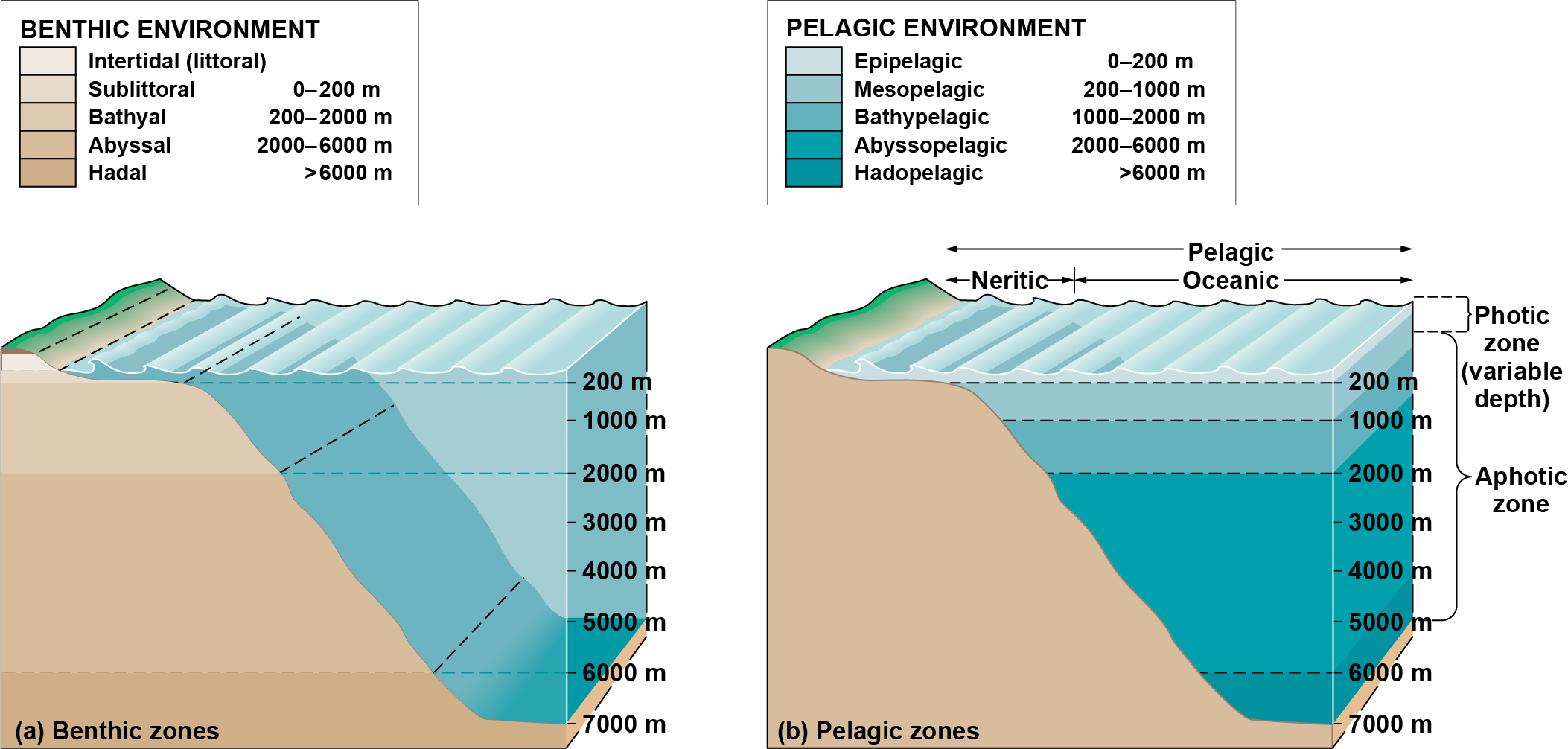 Profiles of benthic and pelagic environments by depth