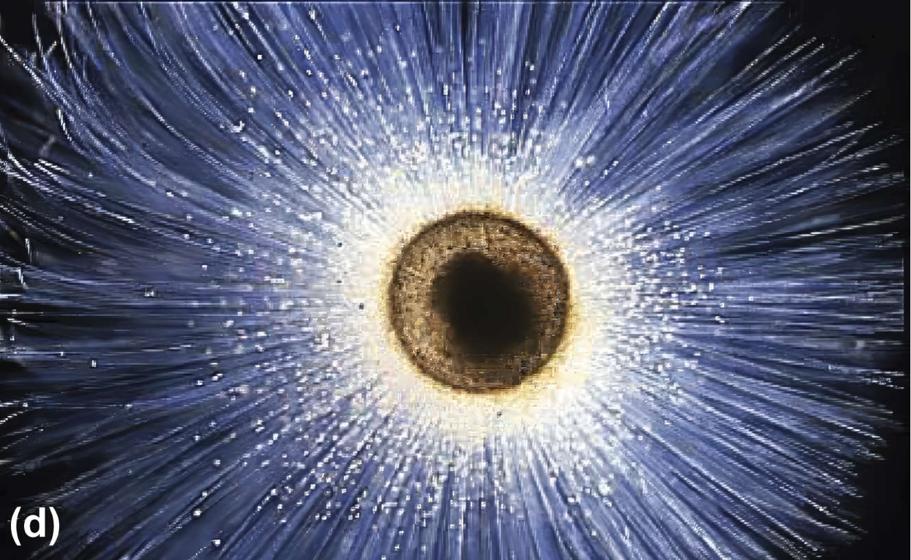 A foraminifera