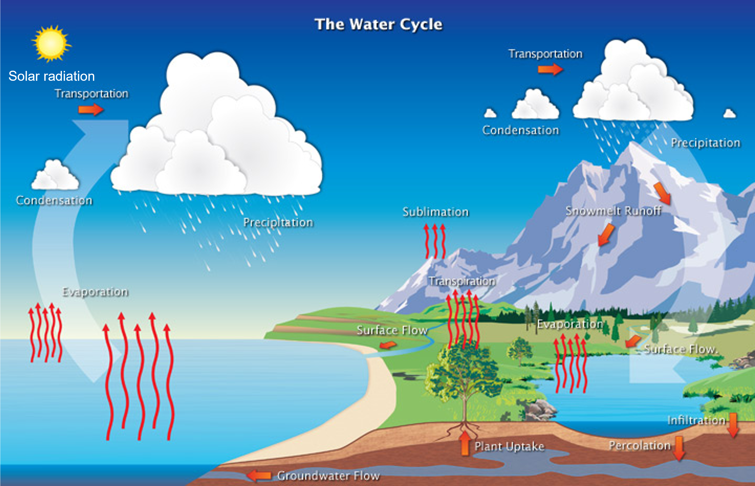 Schematic of the water cycle showing evaporation from the ocean, precipitation from clouds and rivers moving water back to the ocean.