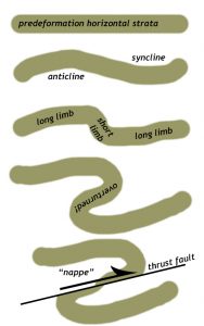 A cartoon diagram showing how the folding of a layer of sedimentary rock can create an asymmetric anticline/syncline pair with a short limb dipping in the direction of tectonic transport, which then becomes overturned and ruptured to make a thrust fault. The overlying mass of rock (the hanging wall, an overturned anticline) is now a "nappe."
