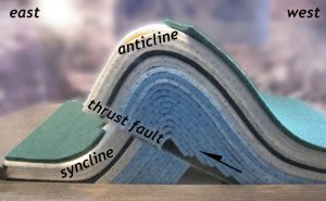 Annotated photo of a simple felt model of a broken asymmetric anticline/syncline pair. Dozens of layers arch up in the middle (an anticline) that has its short limb on the left (east) and its long limb on the right (west). It's broken at its base along a thrust fault. Distinctive colored layers show that the offset direction is to the east, with the hanging wall moving up relative to the footwall. The anticline has climbed up and over its partner syncline.