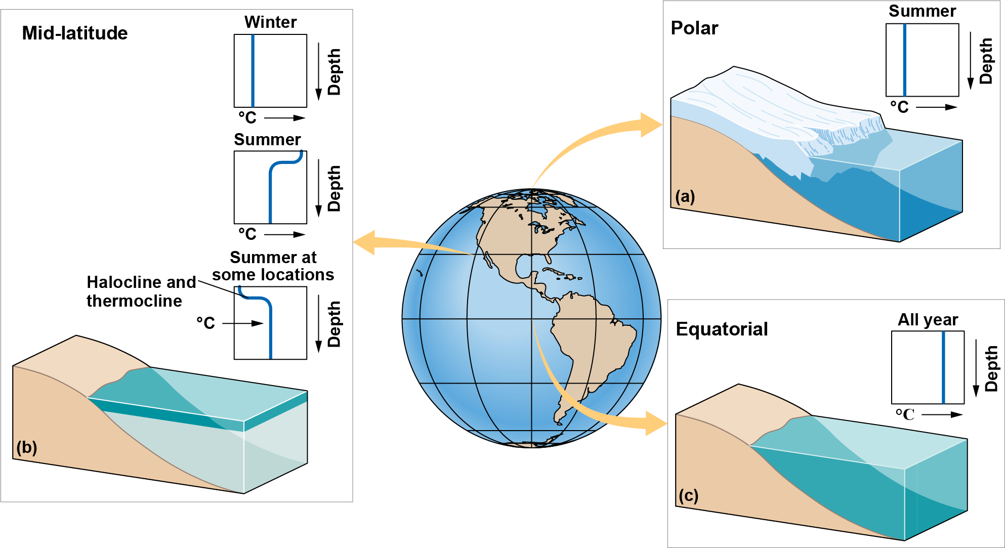 Diagrams of salinity by depth for the Arctic, the mid-latitude, and at the equator