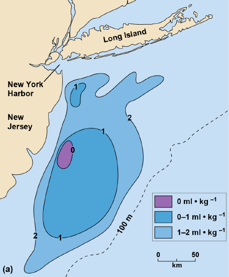 Map of water oxygen concentration offshore of New Jersey
