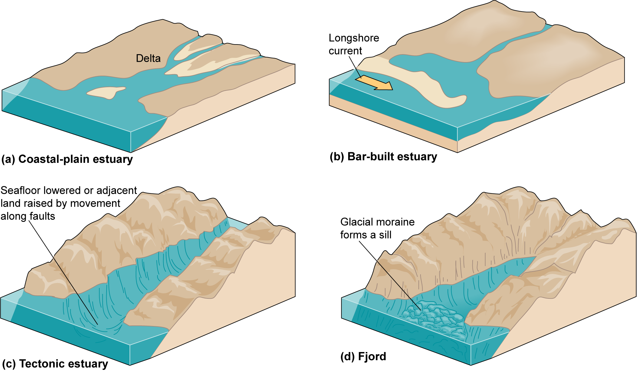 Diagrams of coastal-plain, bar-built, and tectonic estuary and a fjord