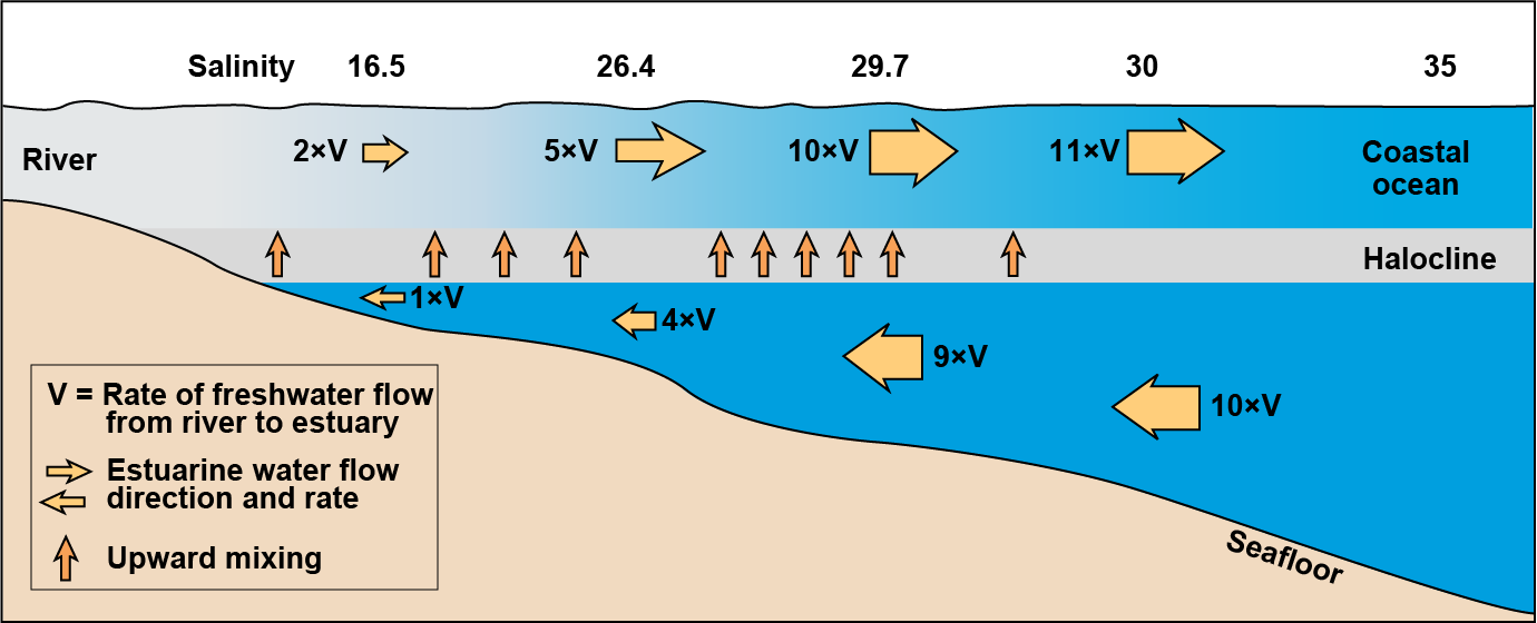 Mixing between a freshwater flow and upward mixing