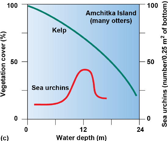 Graph of kelp vegetation cover and urchin population with many otters