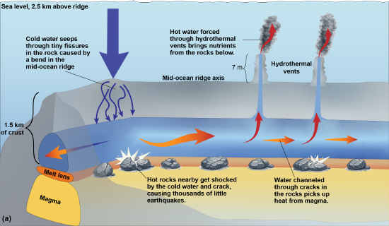 Diagram of a hydrothermal vent