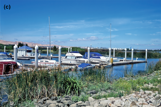 Boats in a marina