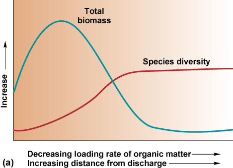 Graph of the effect of sewage discharge on the benthos