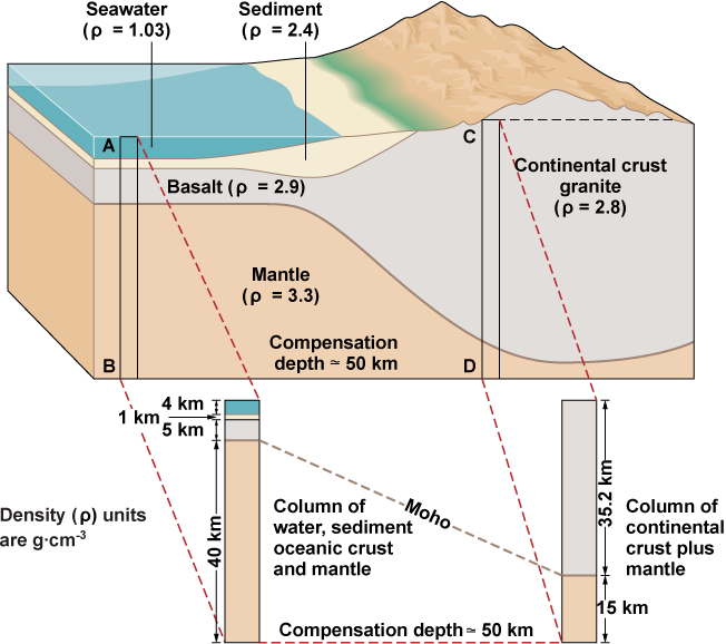 A diagram of Earth&rsquo;s thinner oceanic and thicker continental crust floating on the mantle