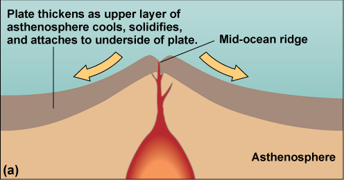Diagram of a mid-ocean ridge