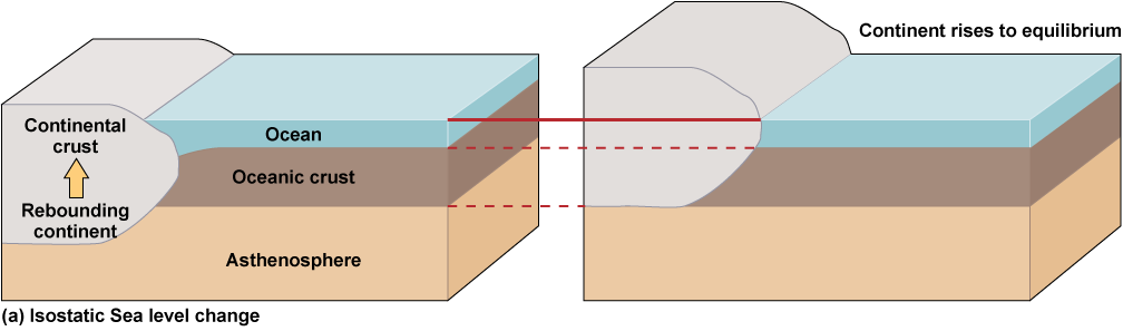 Profile of of continental crust adjacent to the ocean, oceanic crust and asthenosphere