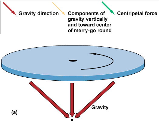 The force of gravity toward a center point under the merry-go-round