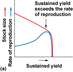 Graph of stock size and rate of reproduction