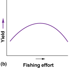 Graph of finishing effort increasing yield until it reaches a point and yield decreases