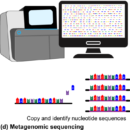 Computer and screen of identified pieces