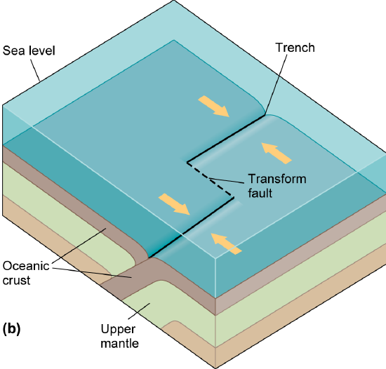 Trenches perpendicular to a transform fault