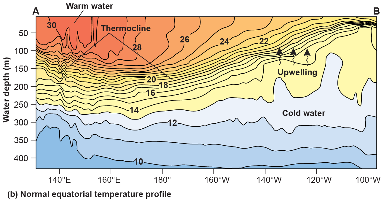 Graph of the temperature profile by longitude with the most western surface waters warmest