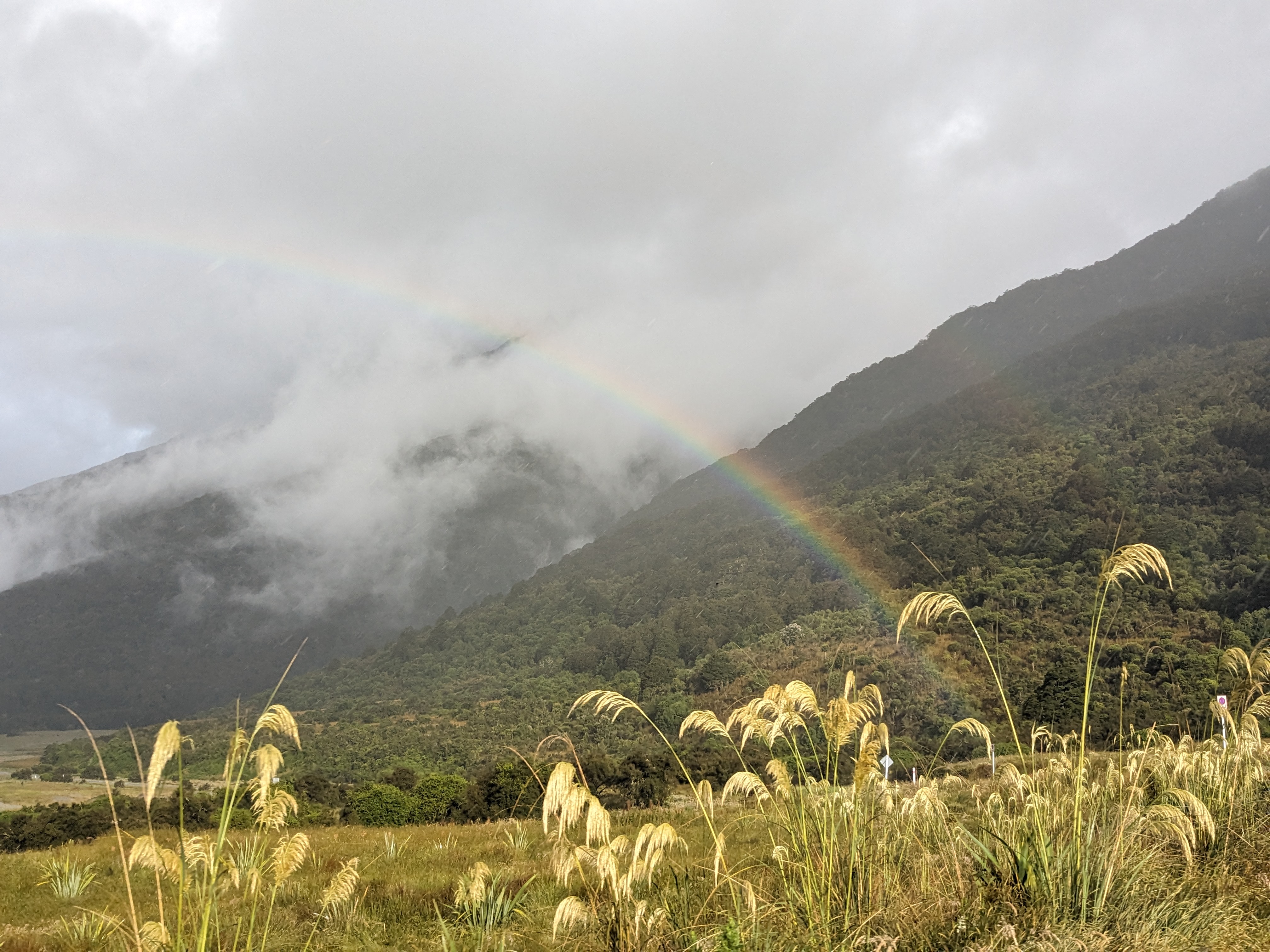  Rainbow over misty mountains with low clouds and tall grasses in the foreground.