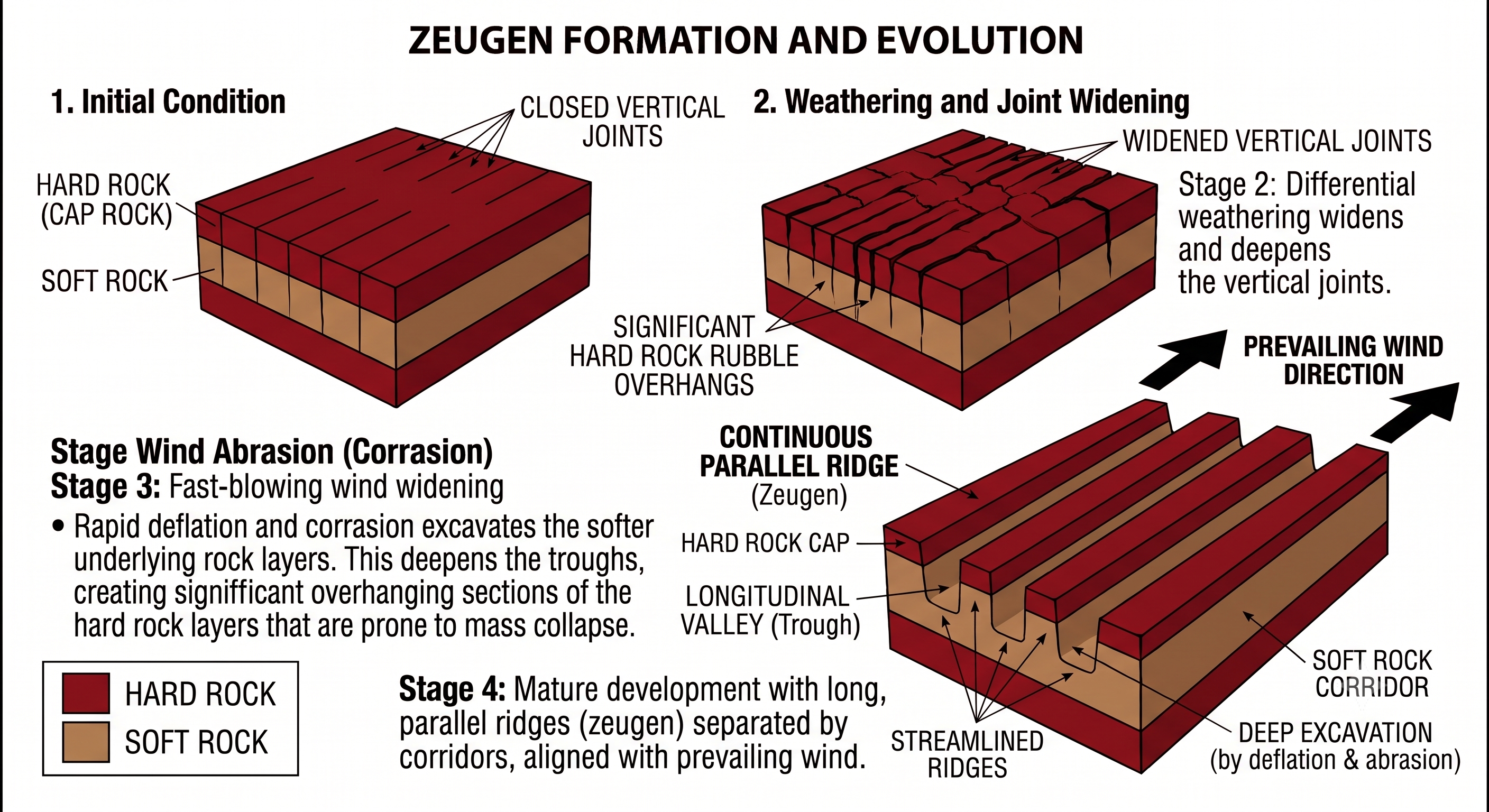 The formation of zeugen ridges through weathering and wind erosion.