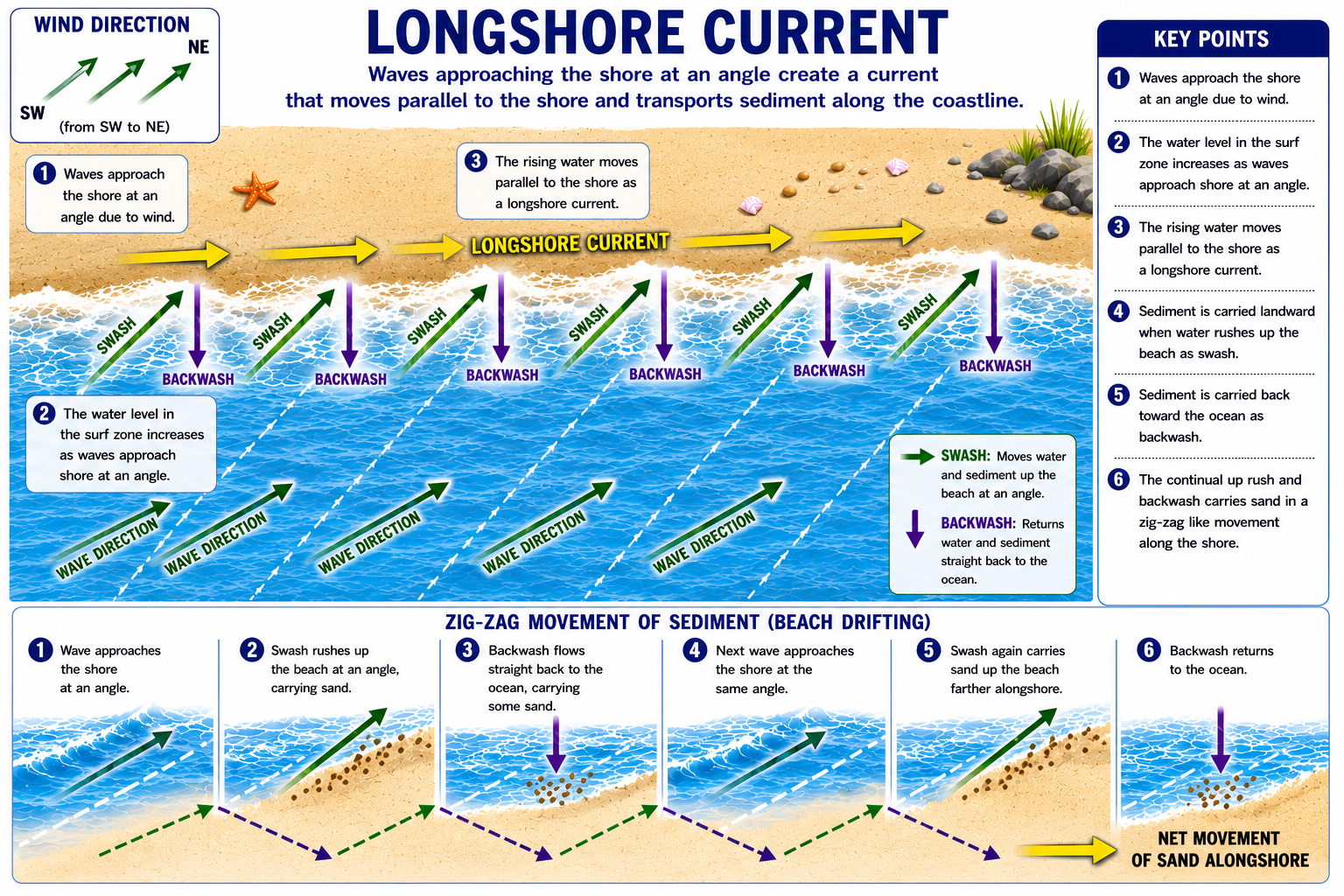 Infographic showing how longshore currents transport sediment along a coastline.