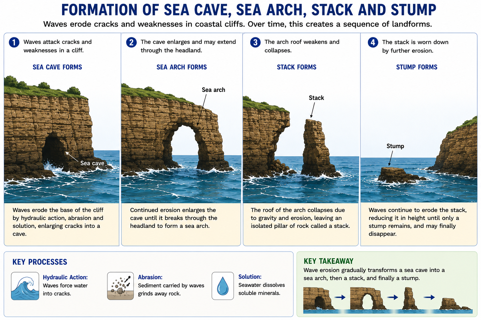The formation of a sea cave, sea arch, sea stack, and sea stump through coastal erosion.