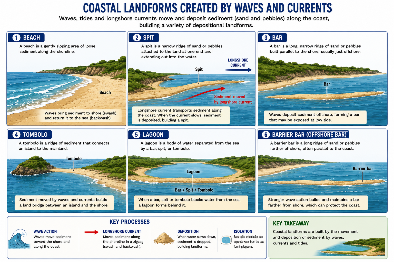 Coastal depositional landforms created by waves, tides, and longshore currents.